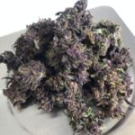 Store – gallery image 5