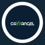 Store – gallery image 3