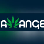 Store – gallery image 4