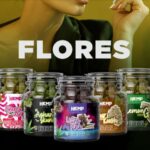 Store – gallery image 3