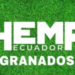 Store – gallery image 4