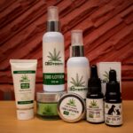 Store – gallery image 2