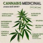 Store – gallery image 1