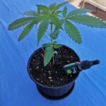 Store – gallery image 3