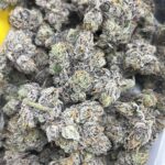 Store – gallery image 2