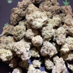 Store – gallery image 3