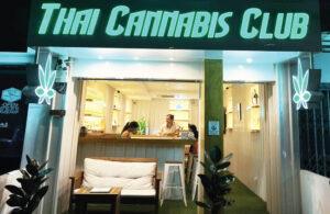 Thai cannabis club – Soi 71