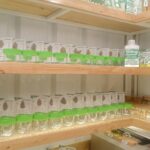 Store – gallery image 2