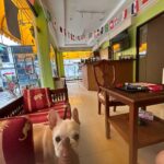 Store – gallery image 2