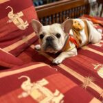 Store – gallery image 4