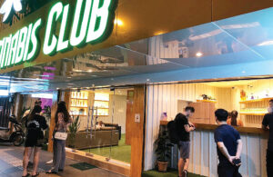 Thai Cannabis Club – Thonglor