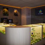 Store – gallery image 5