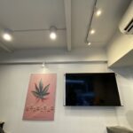 Store – gallery image 4