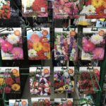 Store – gallery image 4