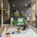 Store – gallery image 5