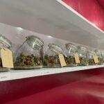 Store – gallery image 4