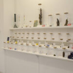 Store – gallery image 2