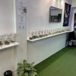 Store – gallery image 3