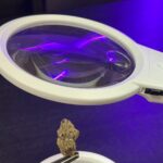 Store – gallery image 5