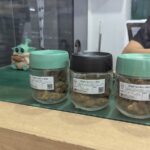 Store – gallery image 3