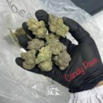 Store – gallery image 4