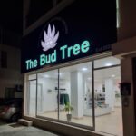 Store – gallery image 1