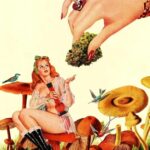 Store – gallery image 3