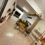 Store – gallery image 3