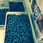 Store – gallery image 4