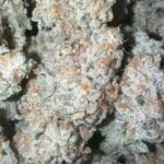 Store – gallery image 3