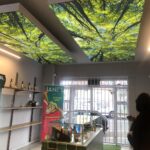 Store – gallery image 3