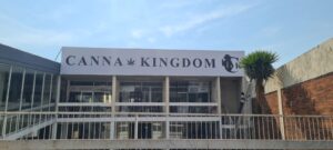 Canna Kingdom Glenhazel