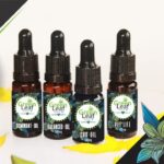 Store – gallery image 5