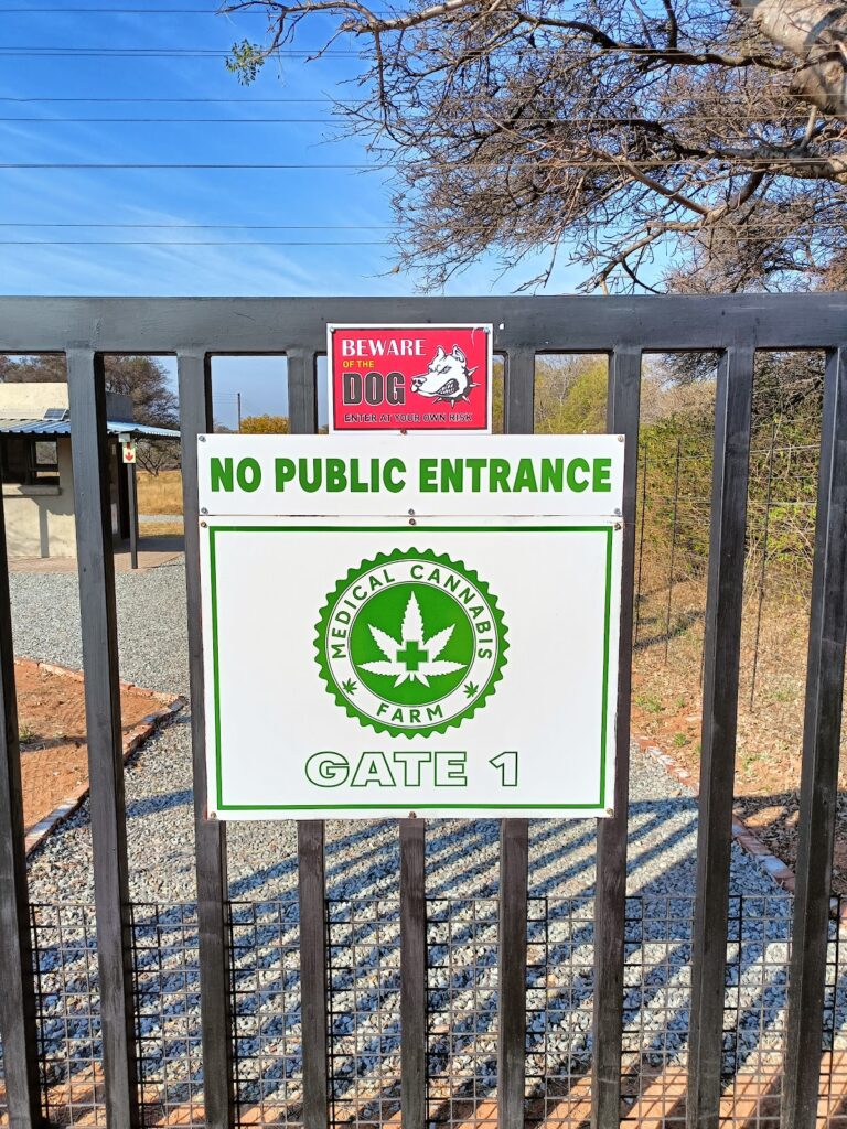 Store – main photo