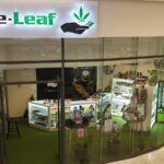 Store – gallery image 1