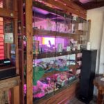 Store – gallery image 2