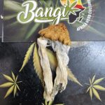 Store – gallery image 4