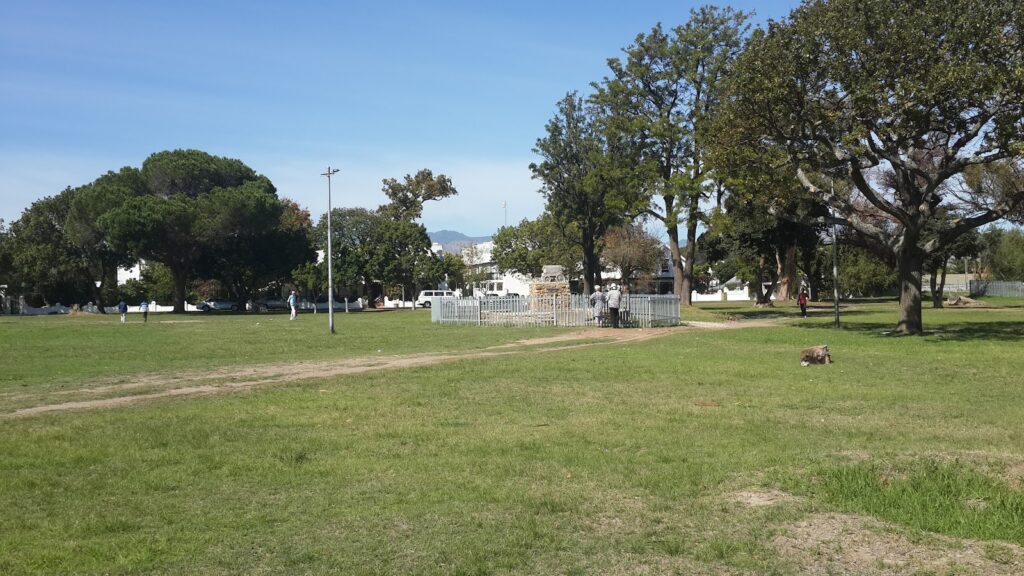 Store – main photo