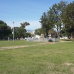 Store – gallery image 1