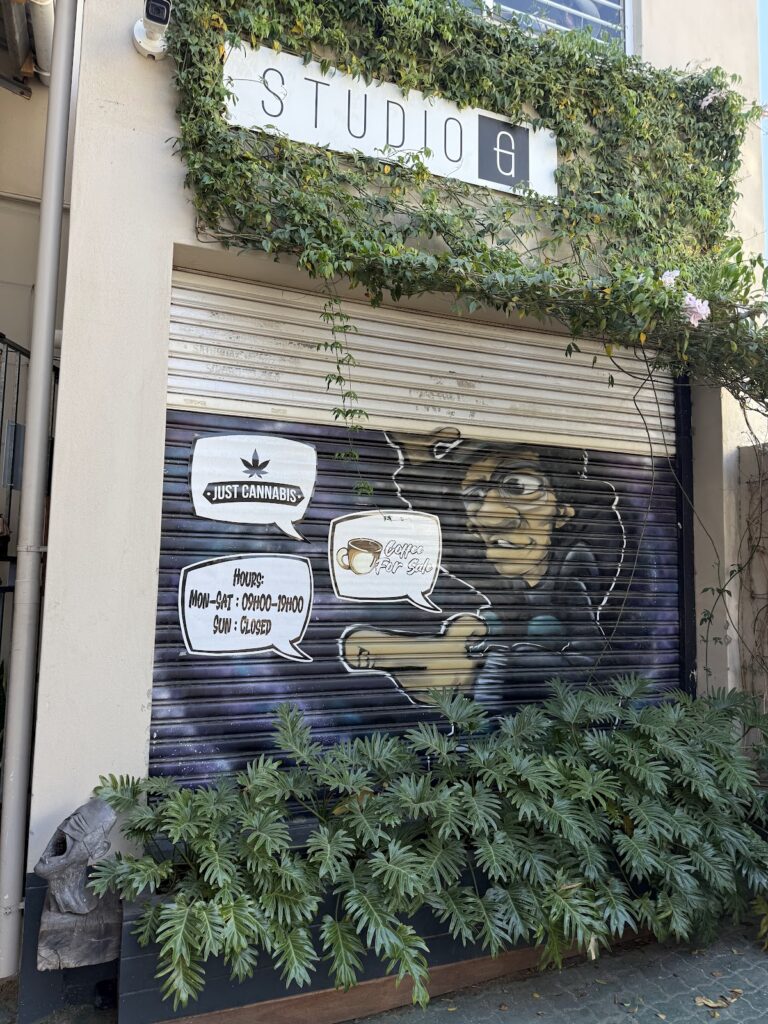 Store – main photo