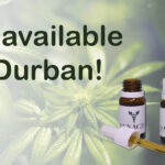 Store – gallery image 1