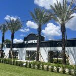 Store – gallery image 5