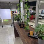 Store – gallery image 1