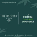 Store – gallery image 5