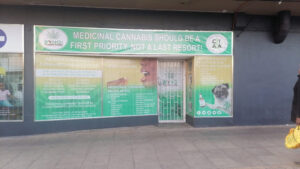 Bangi Afrika Herb Kempton Park