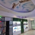 Store – gallery image 4