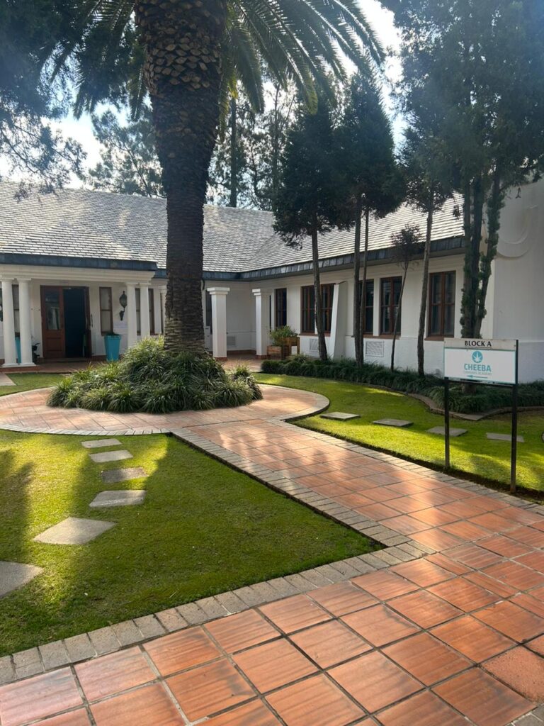 Store – main photo