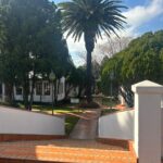 Store – gallery image 3