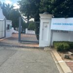 Store – gallery image 4