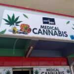 Store – gallery image 5